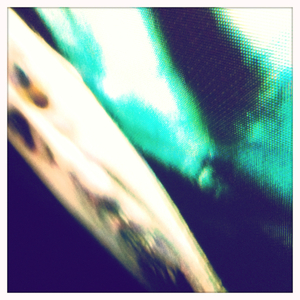 Hip 341290691.146413