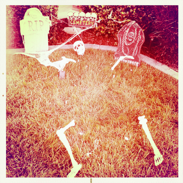 Hip 310262697.329595