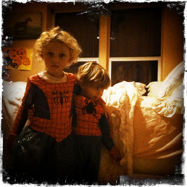 Hip 341290016.538489