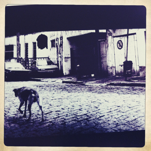 Hip 341078836.308268