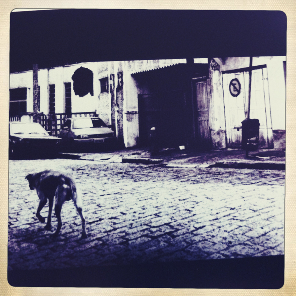 Hip 341078836.308268