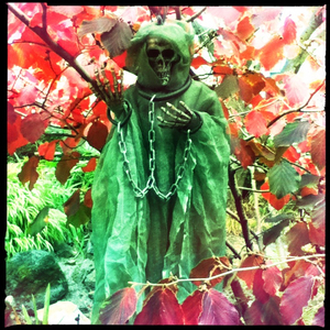 Hip 341020392.461981