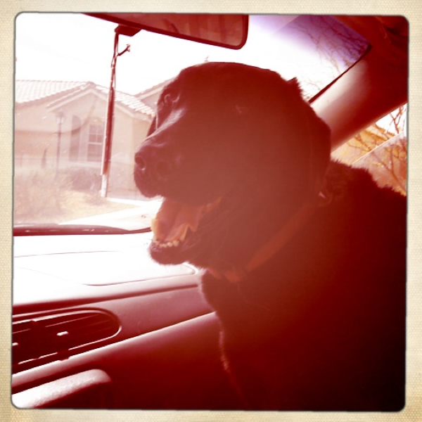 Hip 291751219.392640