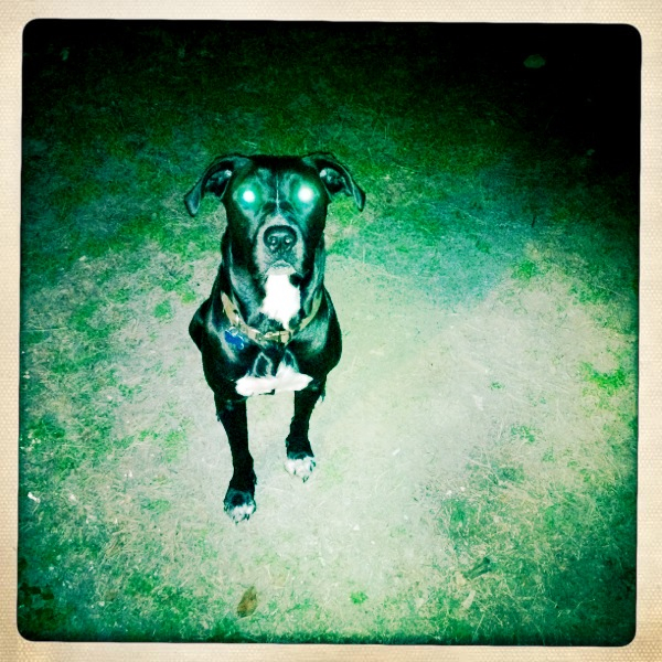 Hip 341297392.476326