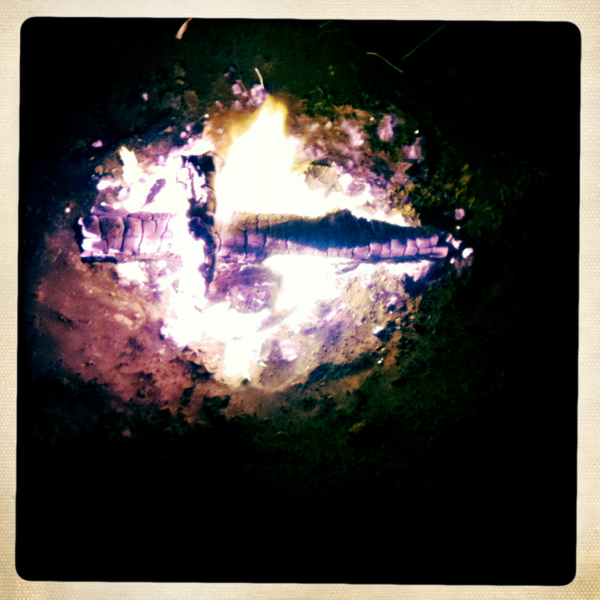 Hip 341297671.199061