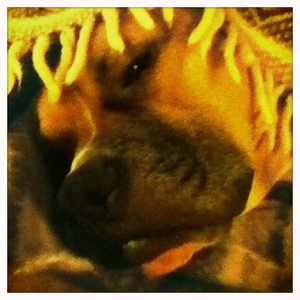 Hip 341298329.292958