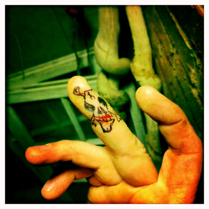 Hip 341299593.109297