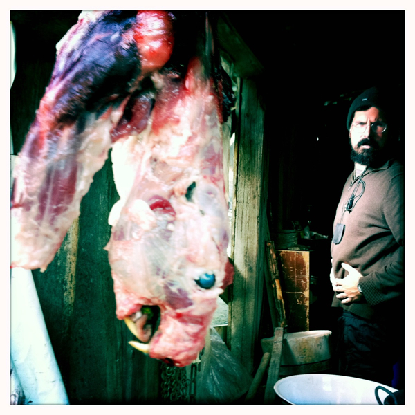 Hip 341274362.874619