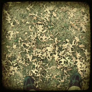 Hip 340914260.572779