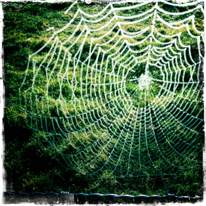 Hip 341307776.047617