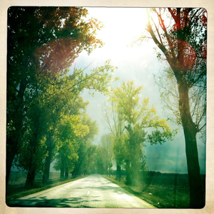 Hip 341317340.918017