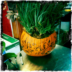 Hip 340311506.025105