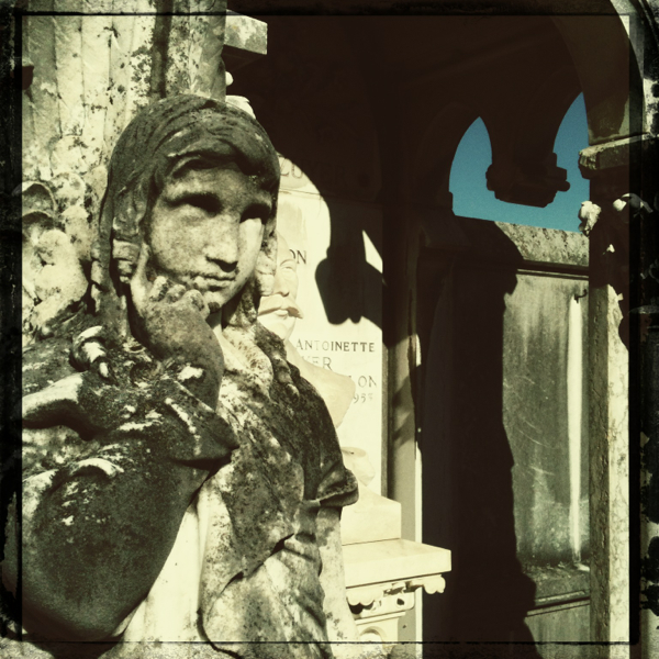 Hip 341323034.310785