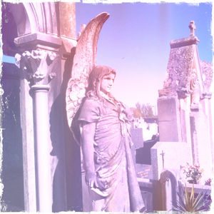 Hip 341323049.894782