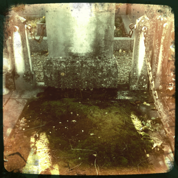 Hip 341322903.923018