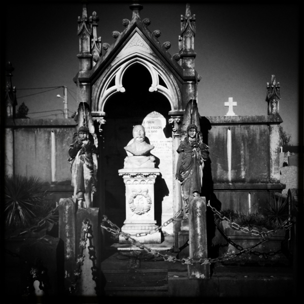 Hip 341322987.555483