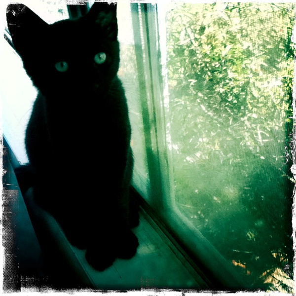 Hip 336008724.794682