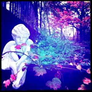 Hip 341331774.011354