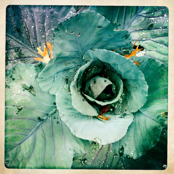 Hip 341331660.924524