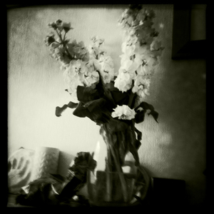 Hip 333738872.174934