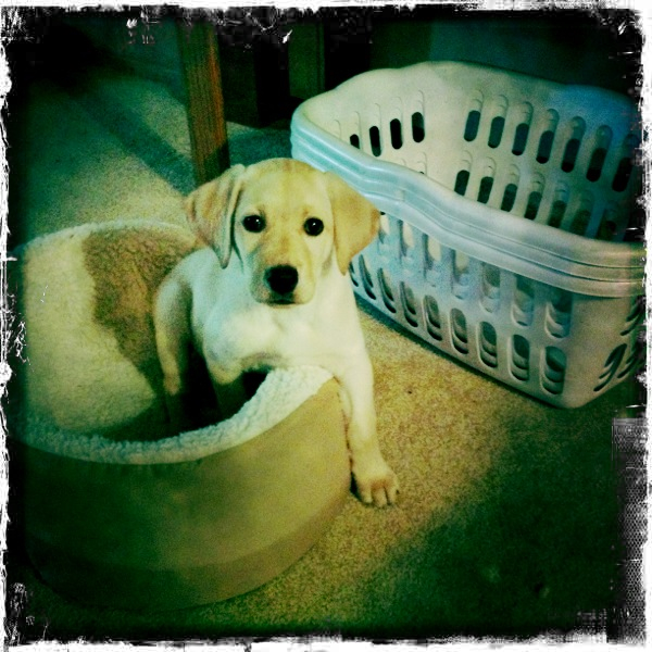 Hip 341332433.746483