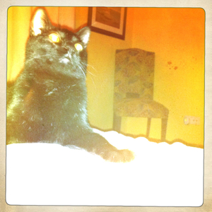 Hip 340583048.497663