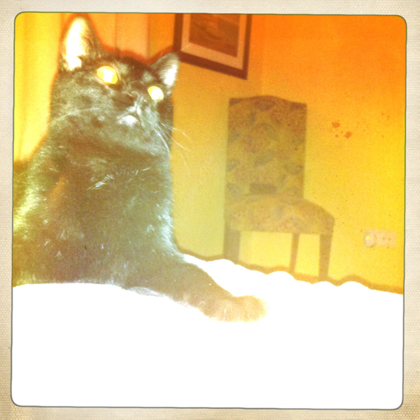 Hip 340583048.497663