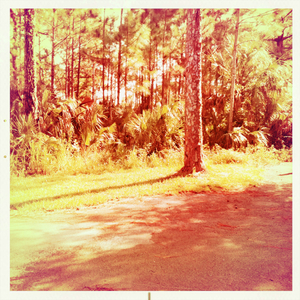 Hip 341331608.045432