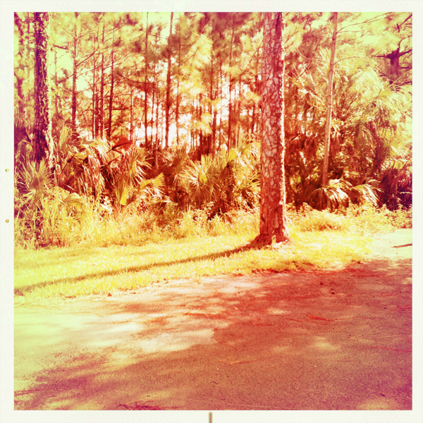 Hip 341331608.045432