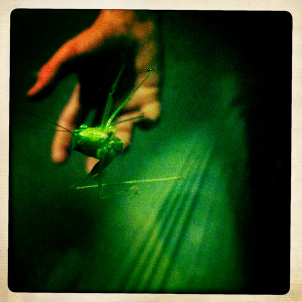 Hip 340435578.846765