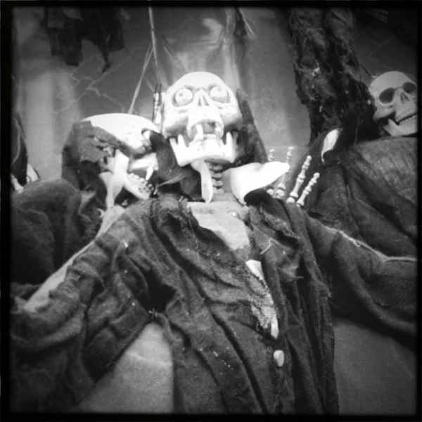 Hip 341184162.824273