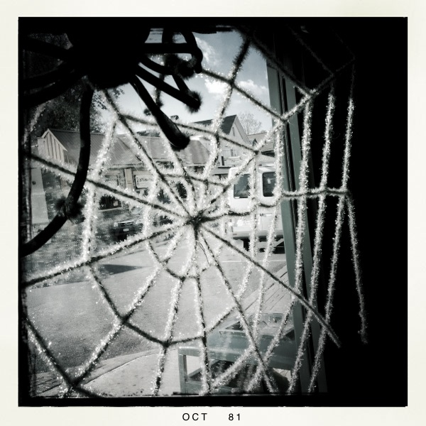 Hip 340553424.470874