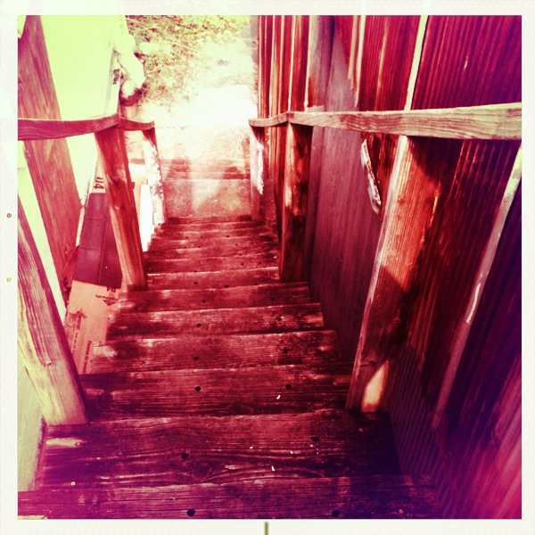 Hip 341343503.668430