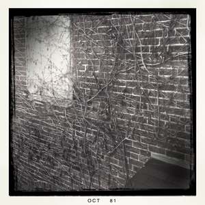 Hip 341343225.309365