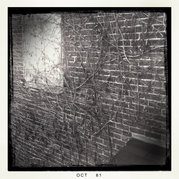 Hip 341343225.309365