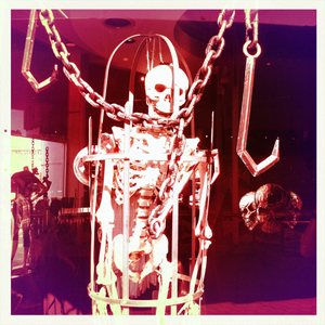 Hip 339787736.067655