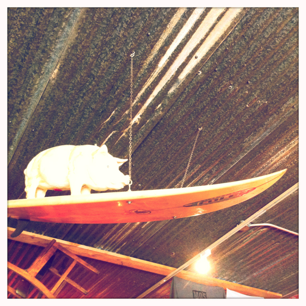 Hip 339975271.951563