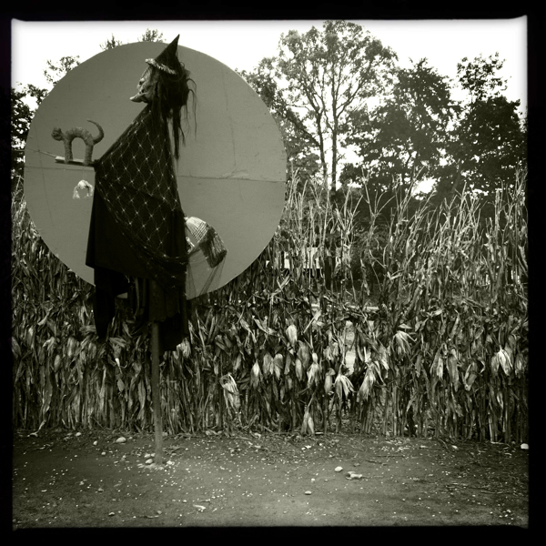 Hip 341337608.690036