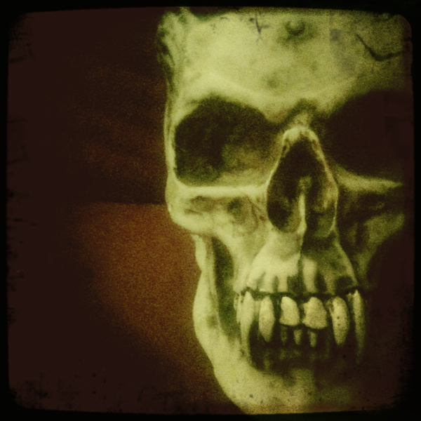 Hip 341347263.999565