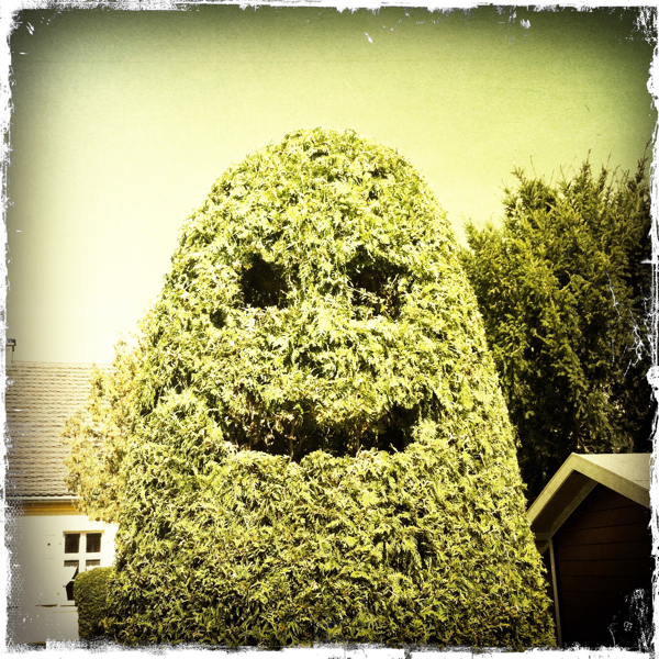 Hip 337004449.787048