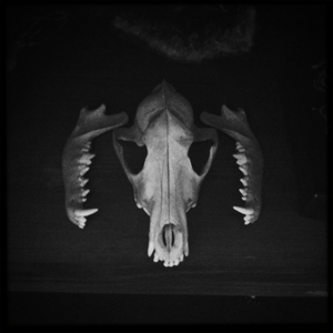 Hip 328750201.389955