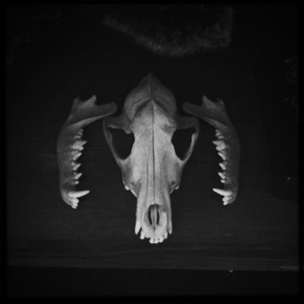 Hip 328750201.389955