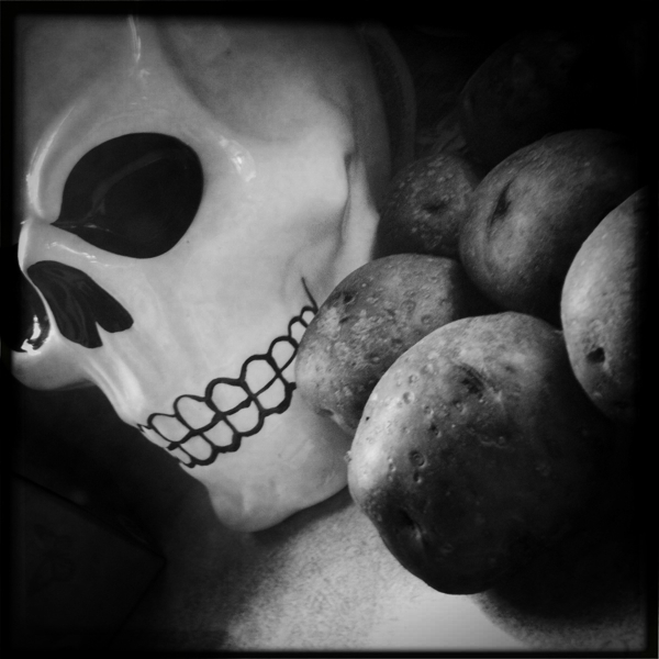 Hip 340644233.797131