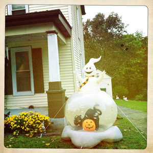 Hip 340230579.316307