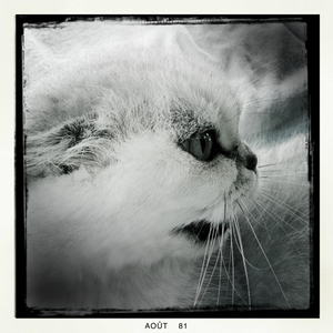 Hip 335288879.378323