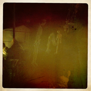 Hip 340694695.271989