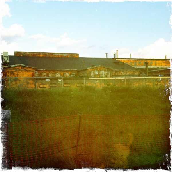 Hip 335141263.486447