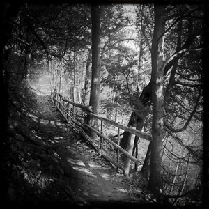 Hip 341088976.782231