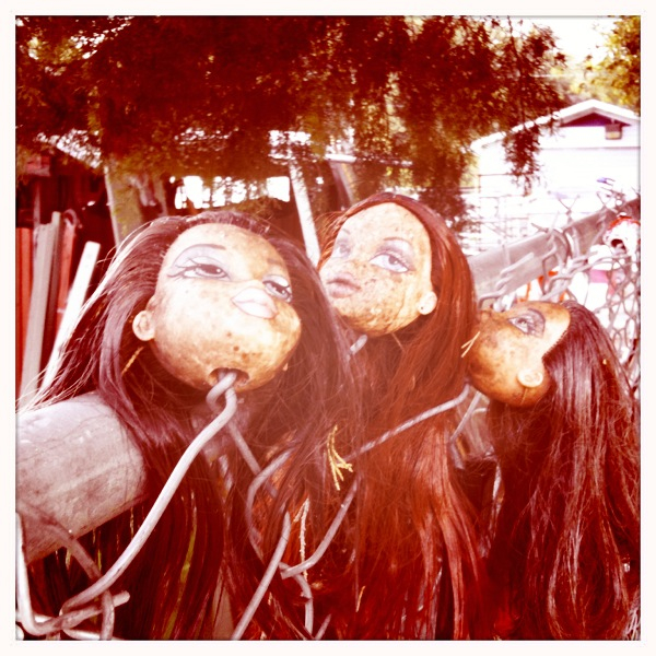 Hip 341257382.708899