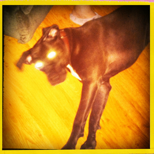 Hip 341370444.282276